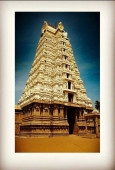IIP Online Student Photography